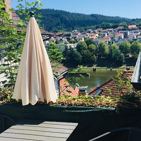 Natur Und Neckarblick Bei Heidelberg Hirschhorn Extérieur photo
