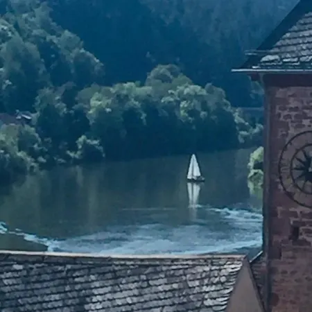 Natur Und Neckarblick Bei Heidelberg Hirschhorn Extérieur photo