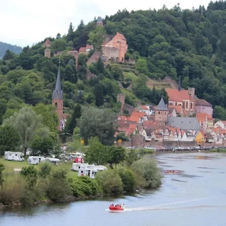 Natur Und Neckarblick Bei Heidelberg Hirschhorn Extérieur photo
