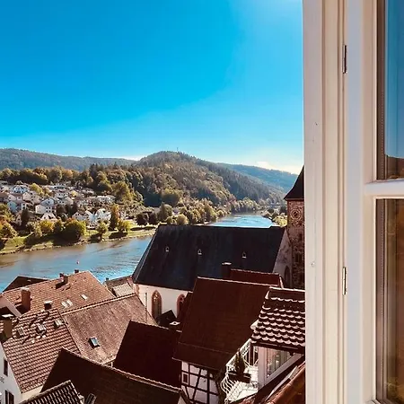 Natur Und Neckarblick Bei Heidelberg Hirschhorn Extérieur photo