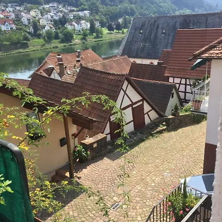 Natur Und Neckarblick Bei Heidelberg Hirschhorn Extérieur photo