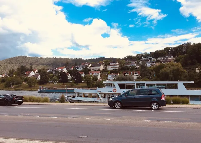 Natur Und Neckarblick Bei Heidelberg