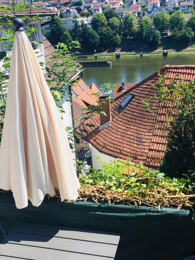 Und Neckarblick Bei Heidelberg * Hirschhorn