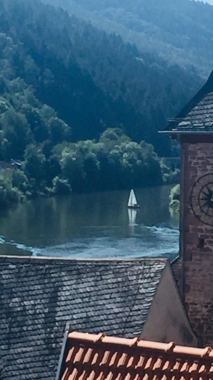 Apartment Und Neckarblick Bei Heidelberg