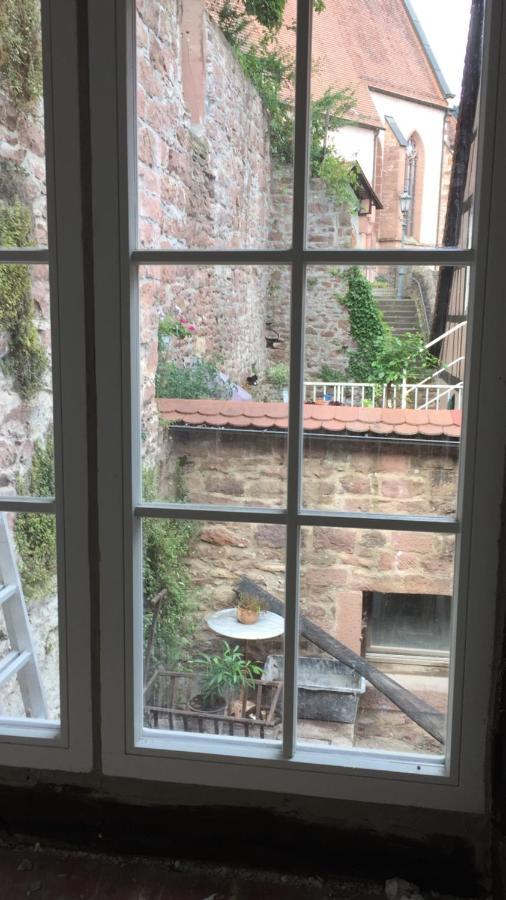 Apartment Und Neckarblick Bei Heidelberg Hirschhorn
