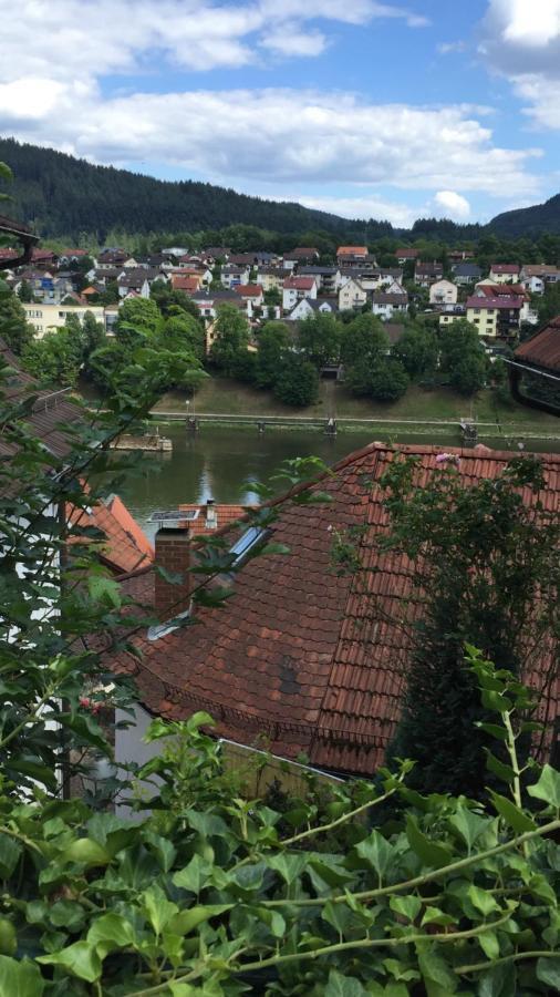 Apartment Und Neckarblick Bei Heidelberg
