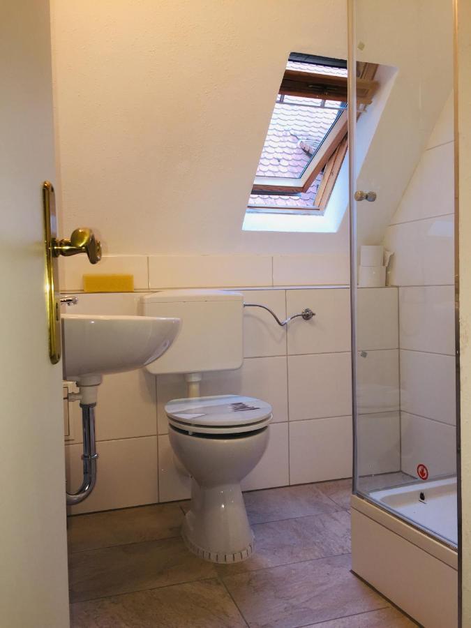 Apartment Und Neckarblick Bei Heidelberg *