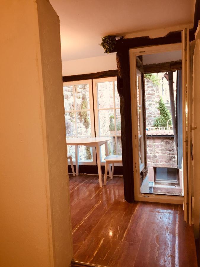 Und Neckarblick Bei Heidelberg Apartment