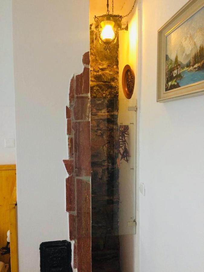 Apartment Und Neckarblick Bei Heidelberg Hirschhorn