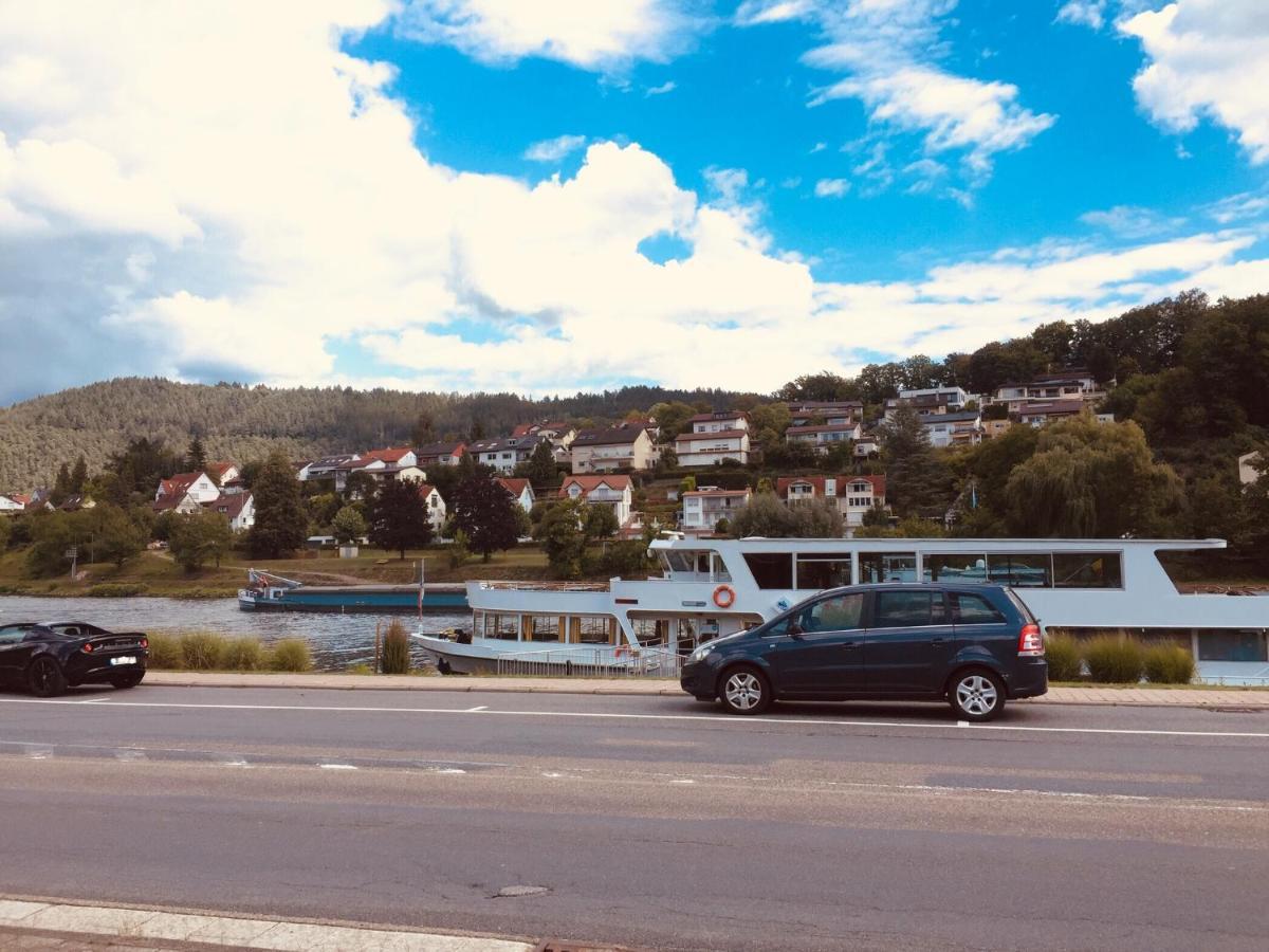 Apartment Und Neckarblick Bei Heidelberg Hirschhorn