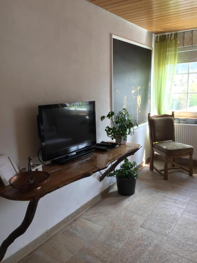Apartment Und Neckarblick Bei Heidelberg