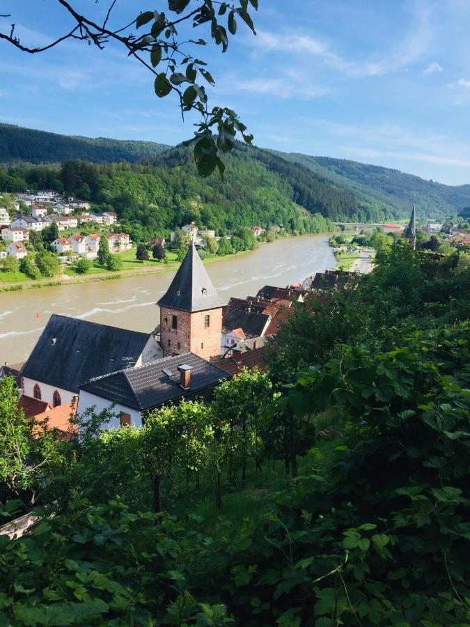 Und Neckarblick Bei Heidelberg * Hirschhorn