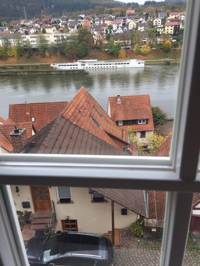 Apartment Und Neckarblick Bei Heidelberg *
