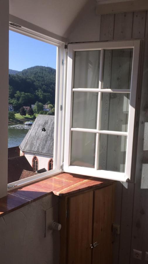 Und Neckarblick Bei Heidelberg * Hirschhorn
