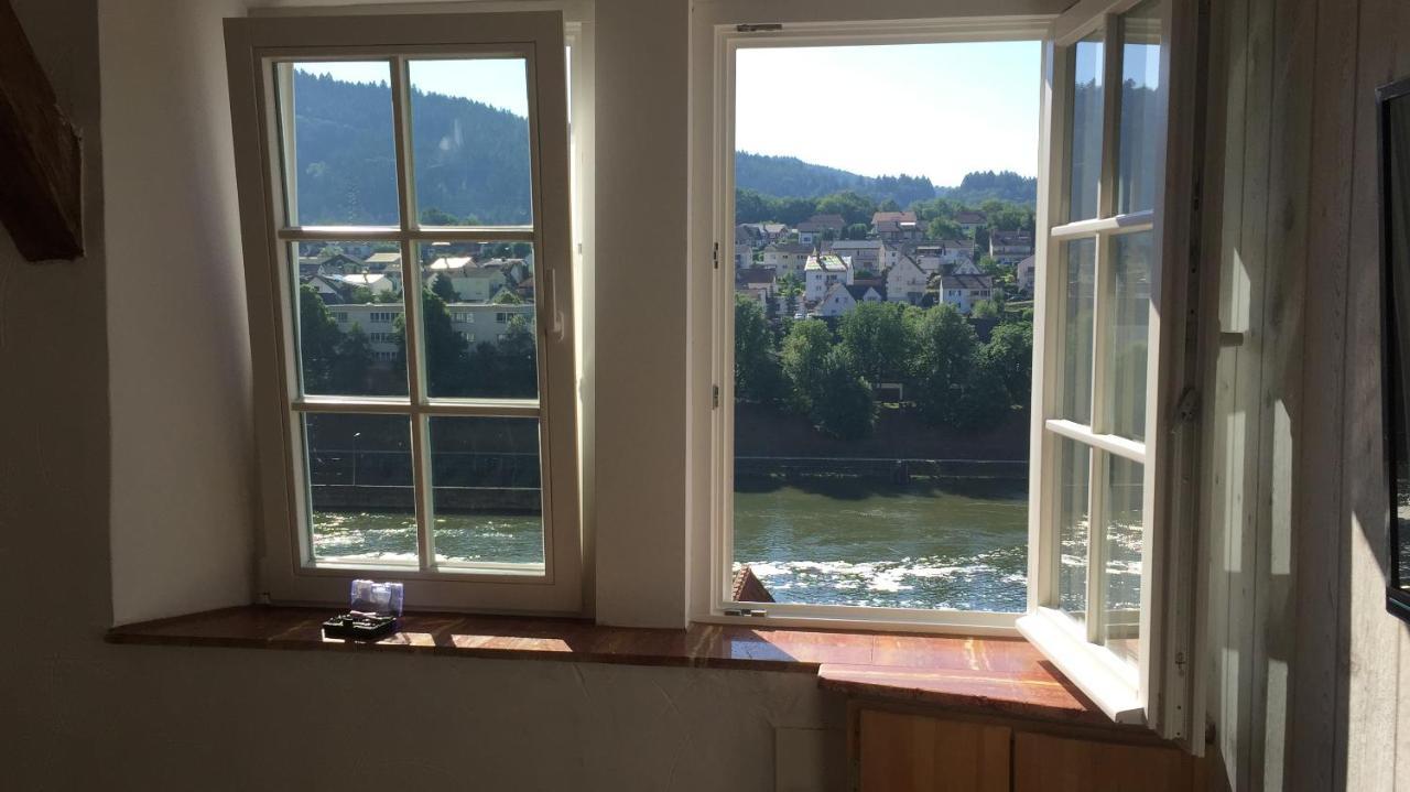 Und Neckarblick Bei Heidelberg Hirschhorn
