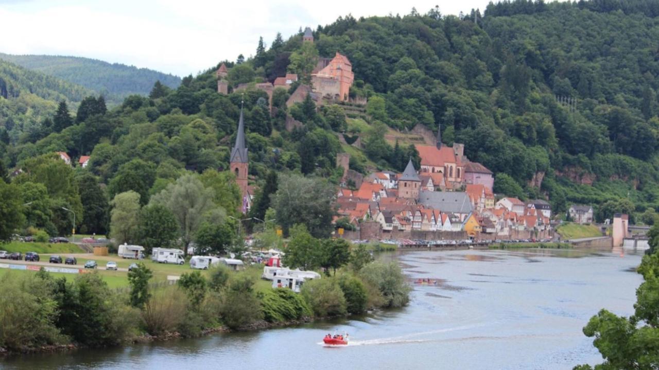 Apartment Und Neckarblick Bei Heidelberg