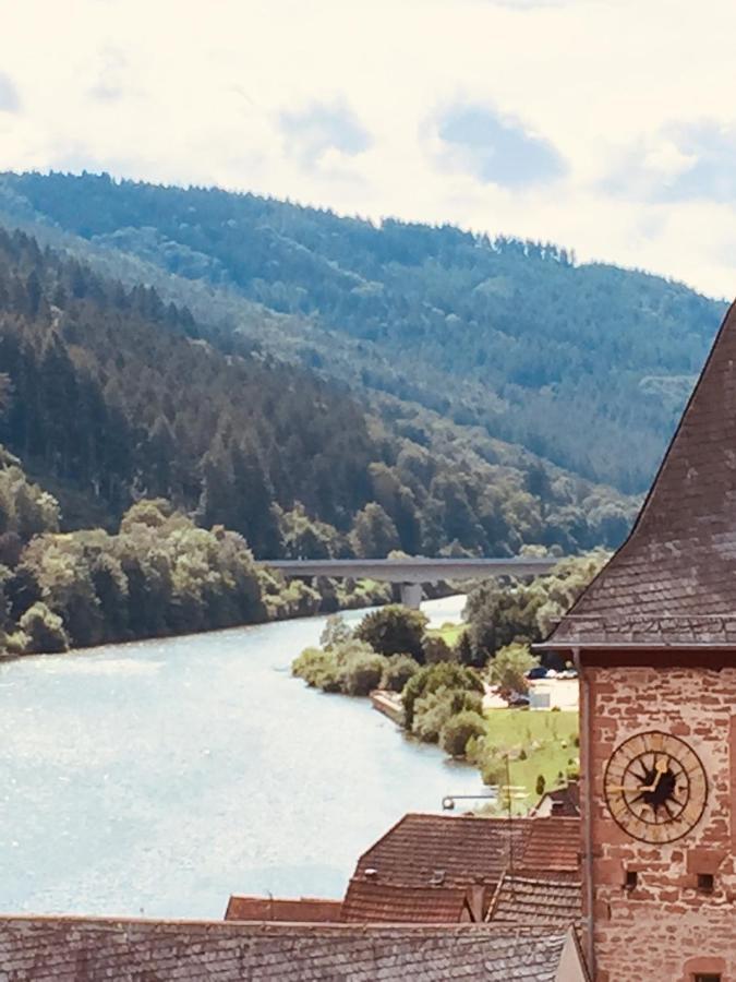 Und Neckarblick Bei Heidelberg *