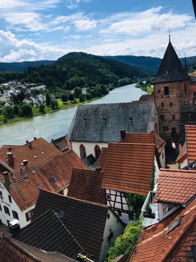 Apartment Und Neckarblick Bei Heidelberg