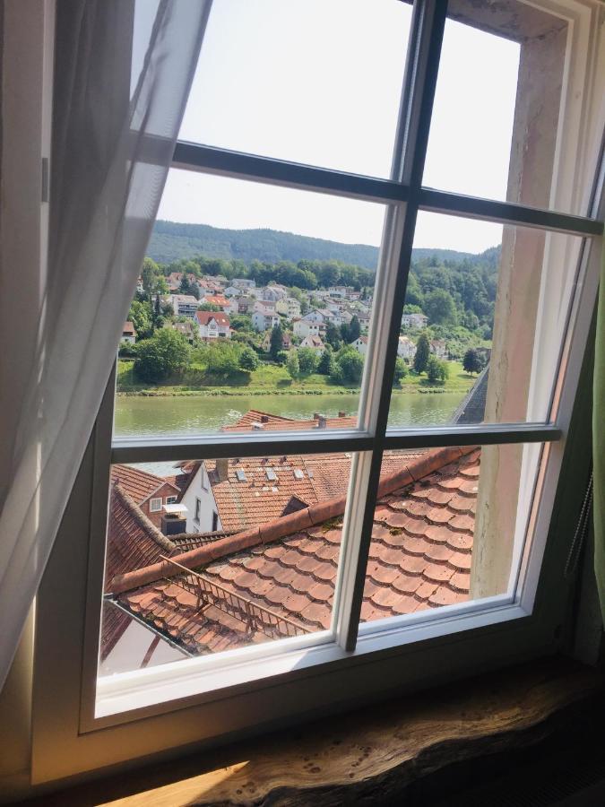Apartment Und Neckarblick Bei Heidelberg