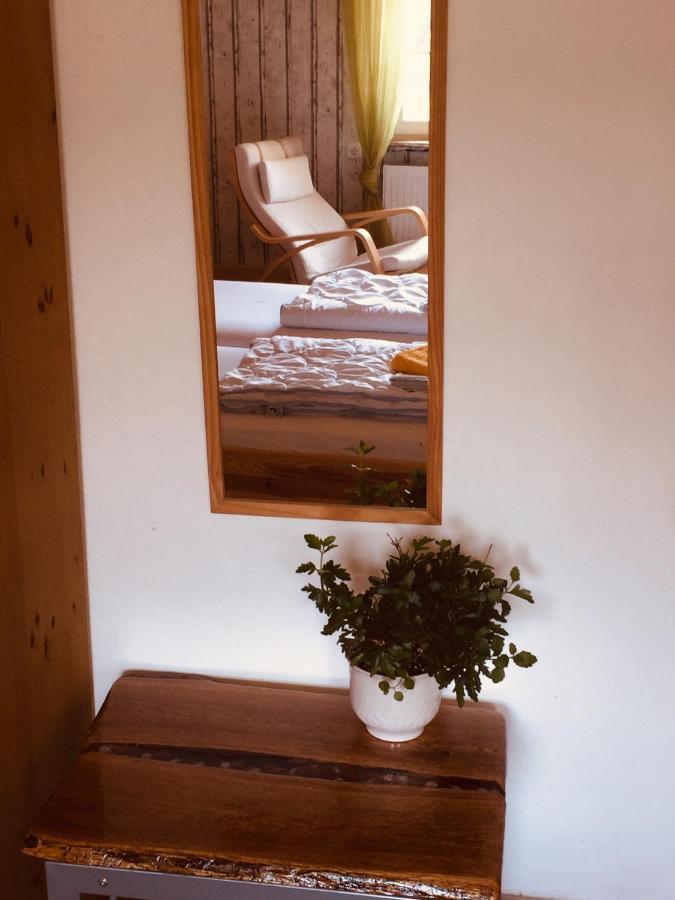 Apartment Und Neckarblick Bei Heidelberg Hirschhorn