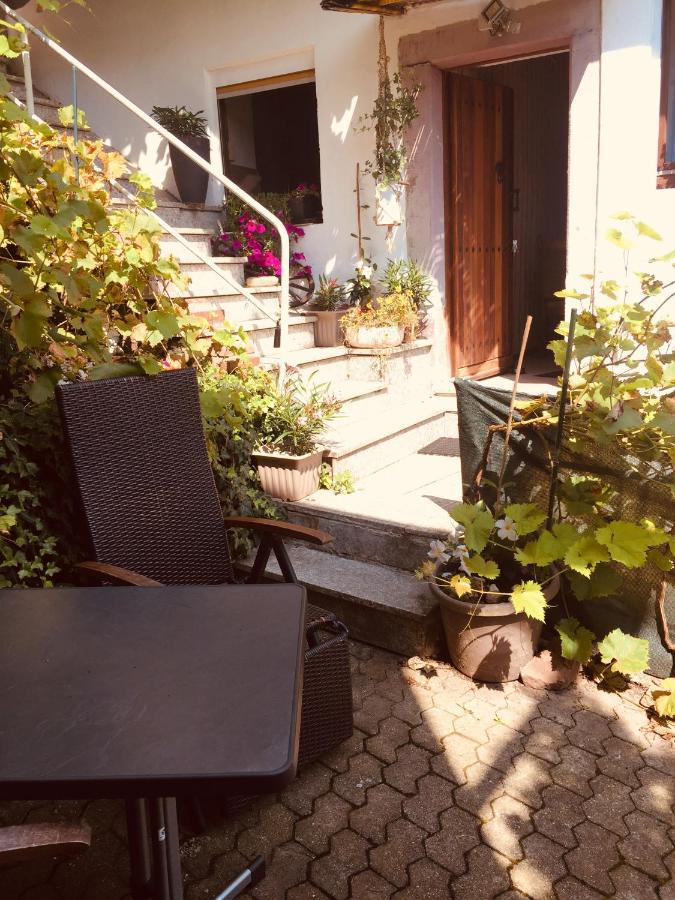 Und Neckarblick Bei Heidelberg * Hirschhorn