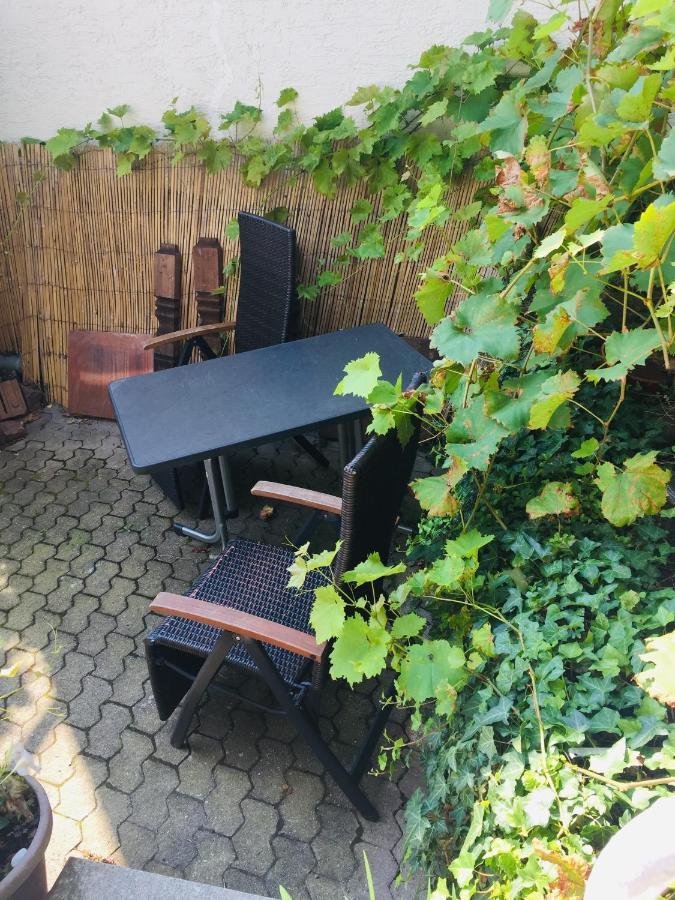 Und Neckarblick Bei Heidelberg *