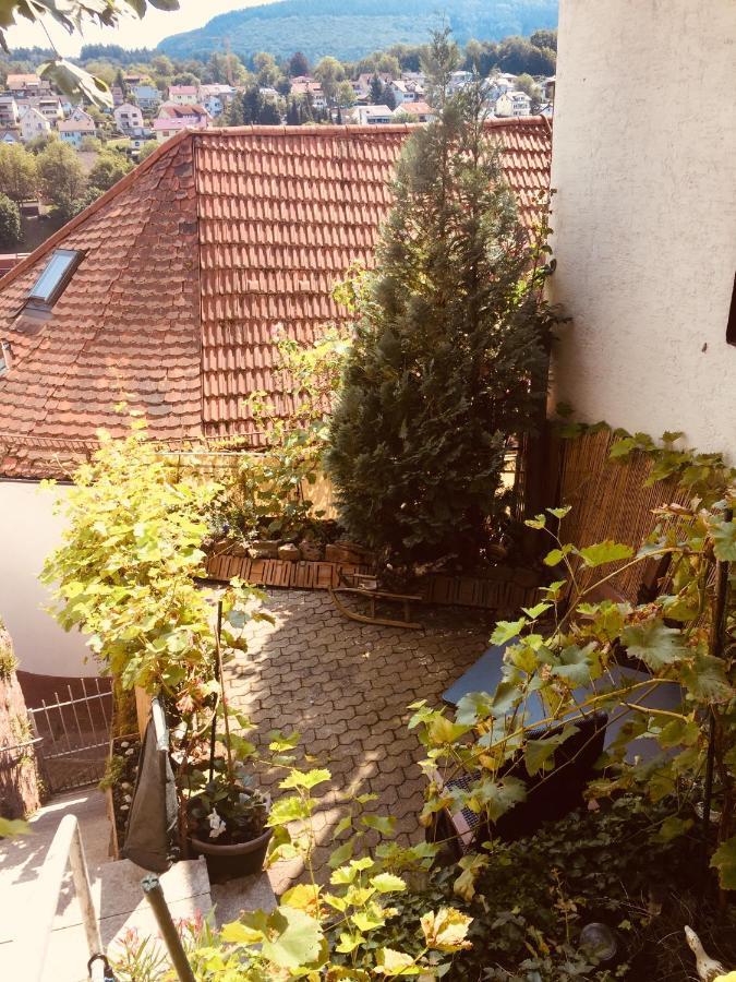Apartment Und Neckarblick Bei Heidelberg *