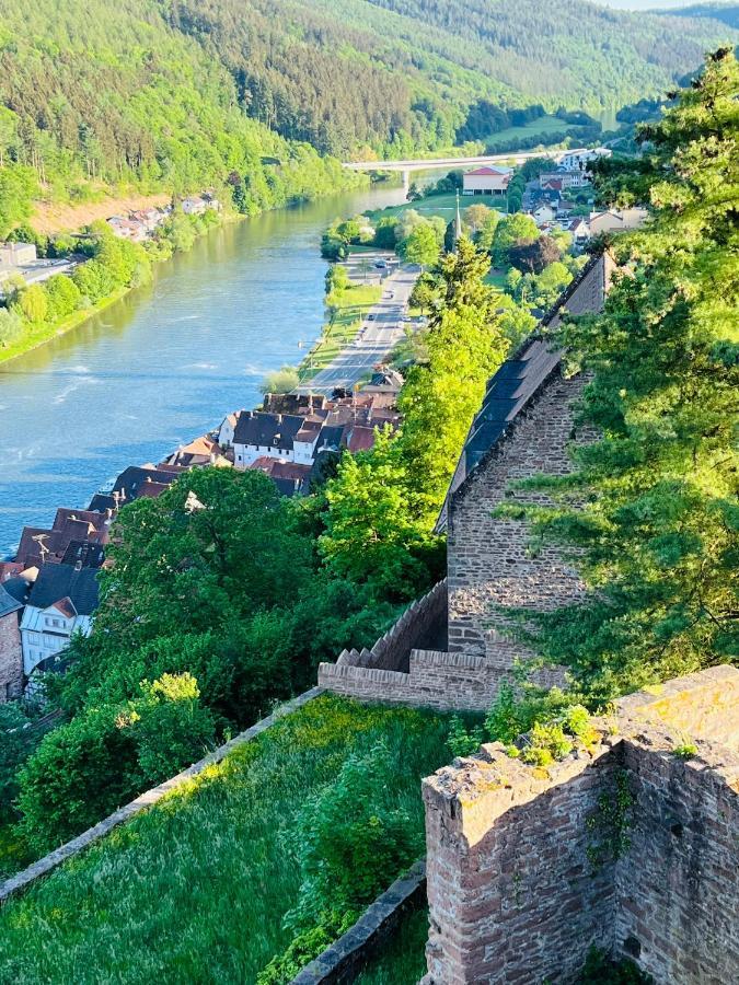 Und Neckarblick Bei Heidelberg Apartment
