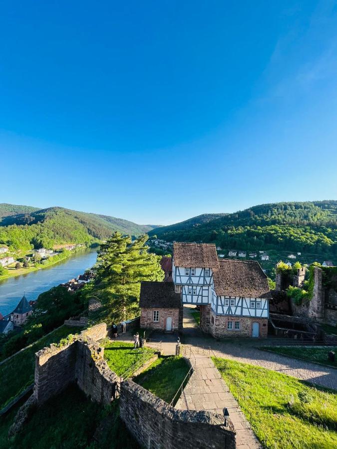 Und Neckarblick Bei Heidelberg Apartment Hirschhorn