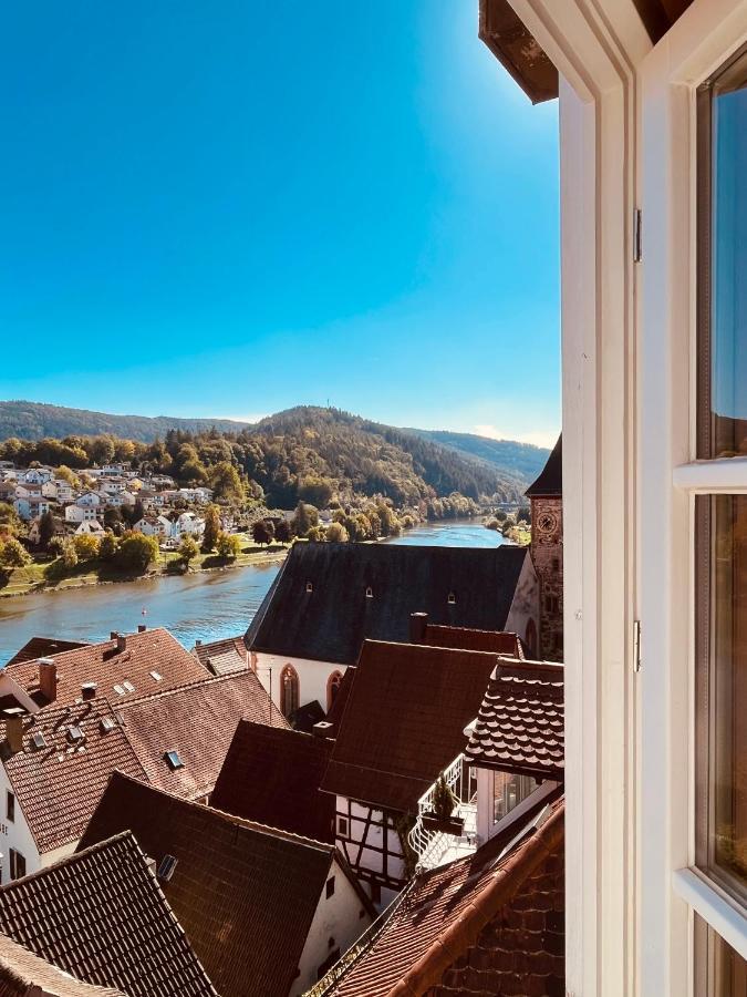 Apartment Und Neckarblick Bei Heidelberg