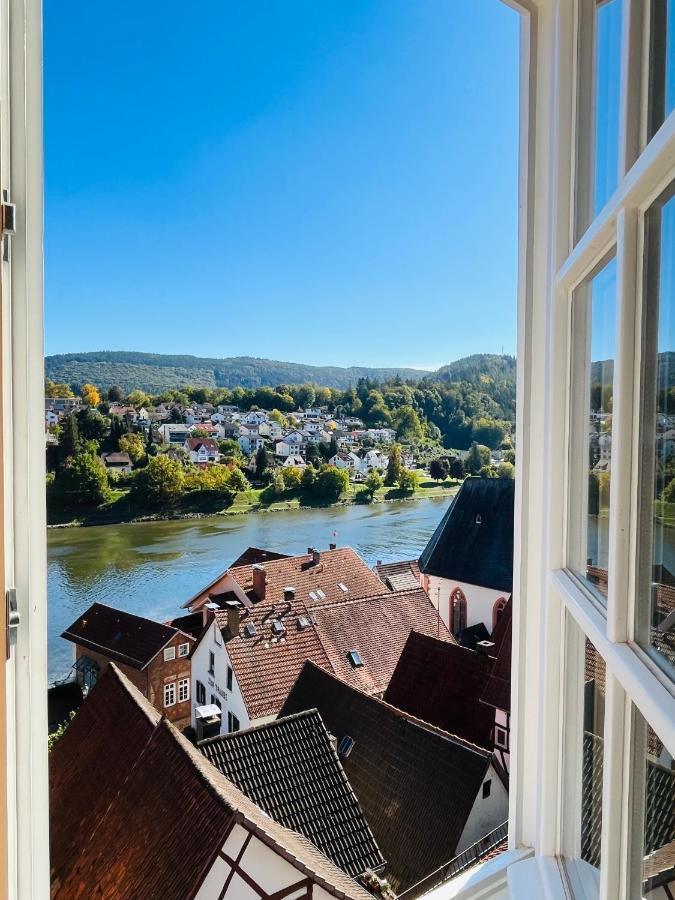 Und Neckarblick Bei Heidelberg *