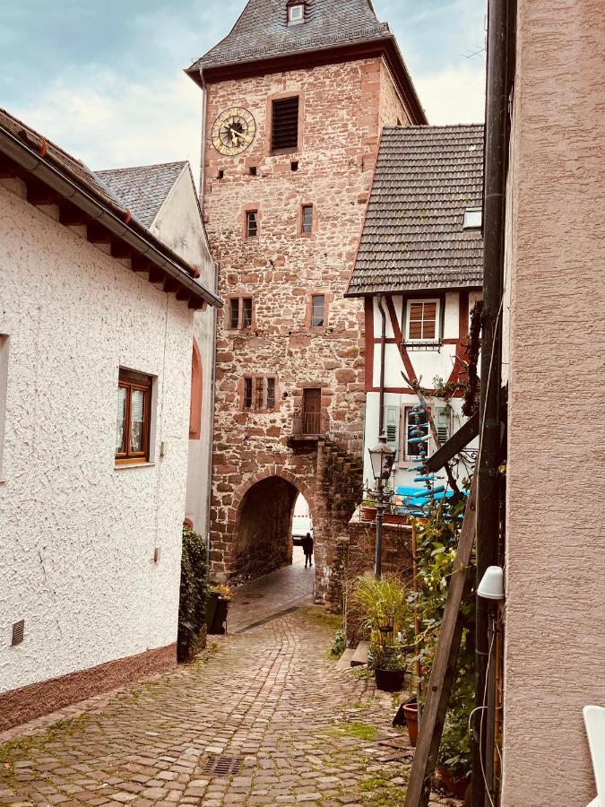 Und Neckarblick Bei Heidelberg Apartment