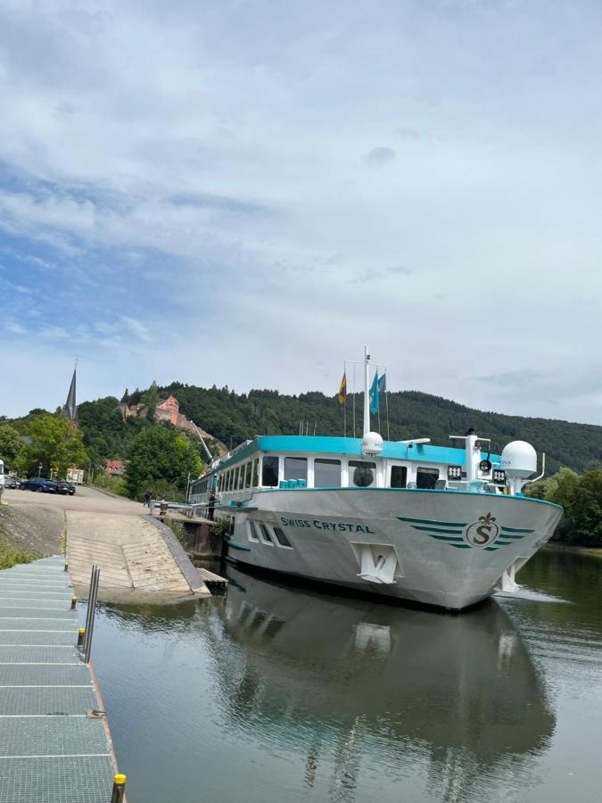 Apartment Und Neckarblick Bei Heidelberg