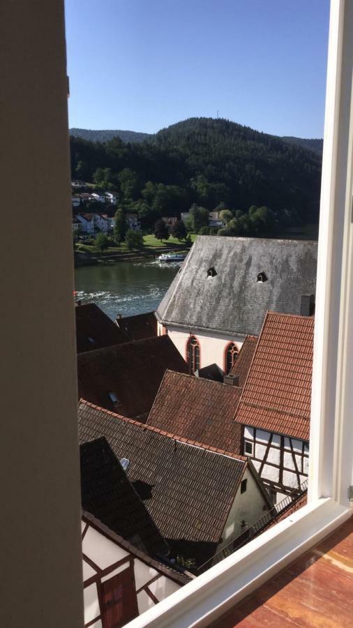 Und Neckarblick Bei Heidelberg Apartment Hirschhorn
