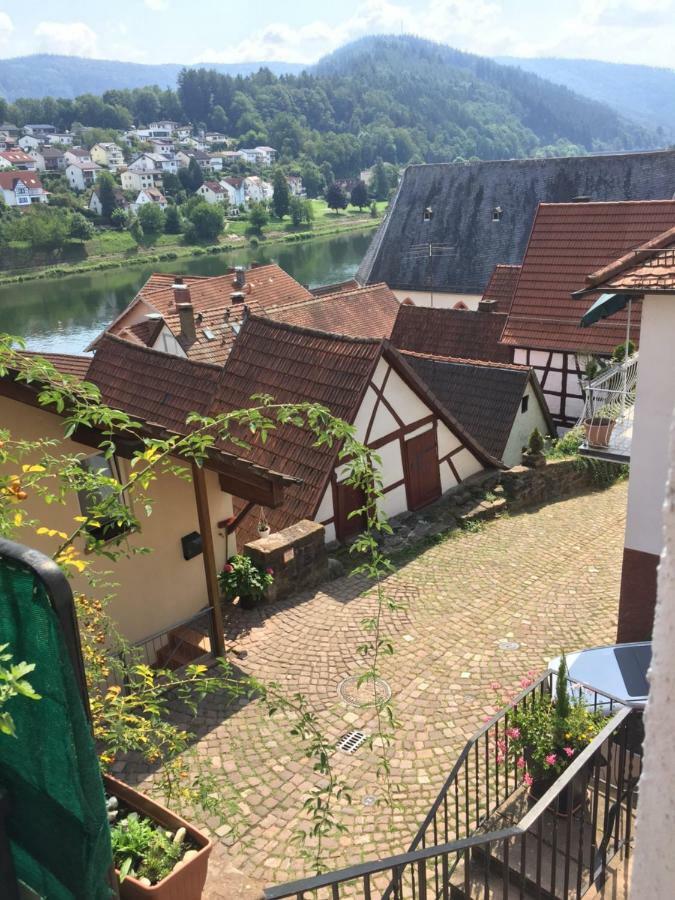Und Neckarblick Bei Heidelberg Apartment *